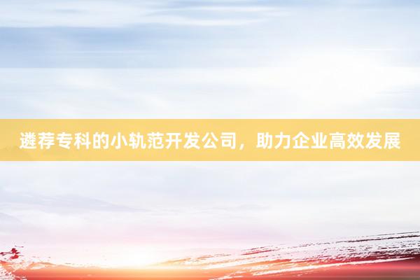 遴荐专科的小轨范开发公司，助力企业高效发展