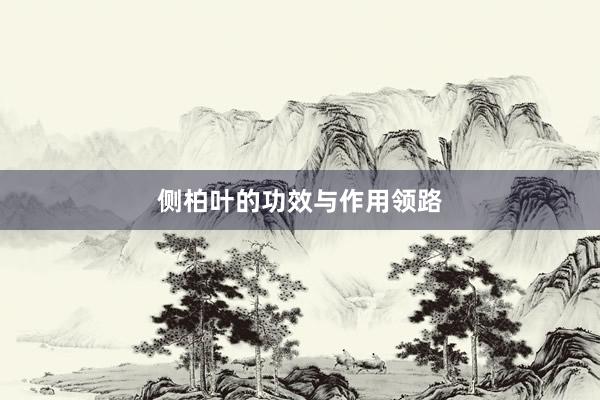 侧柏叶的功效与作用领路